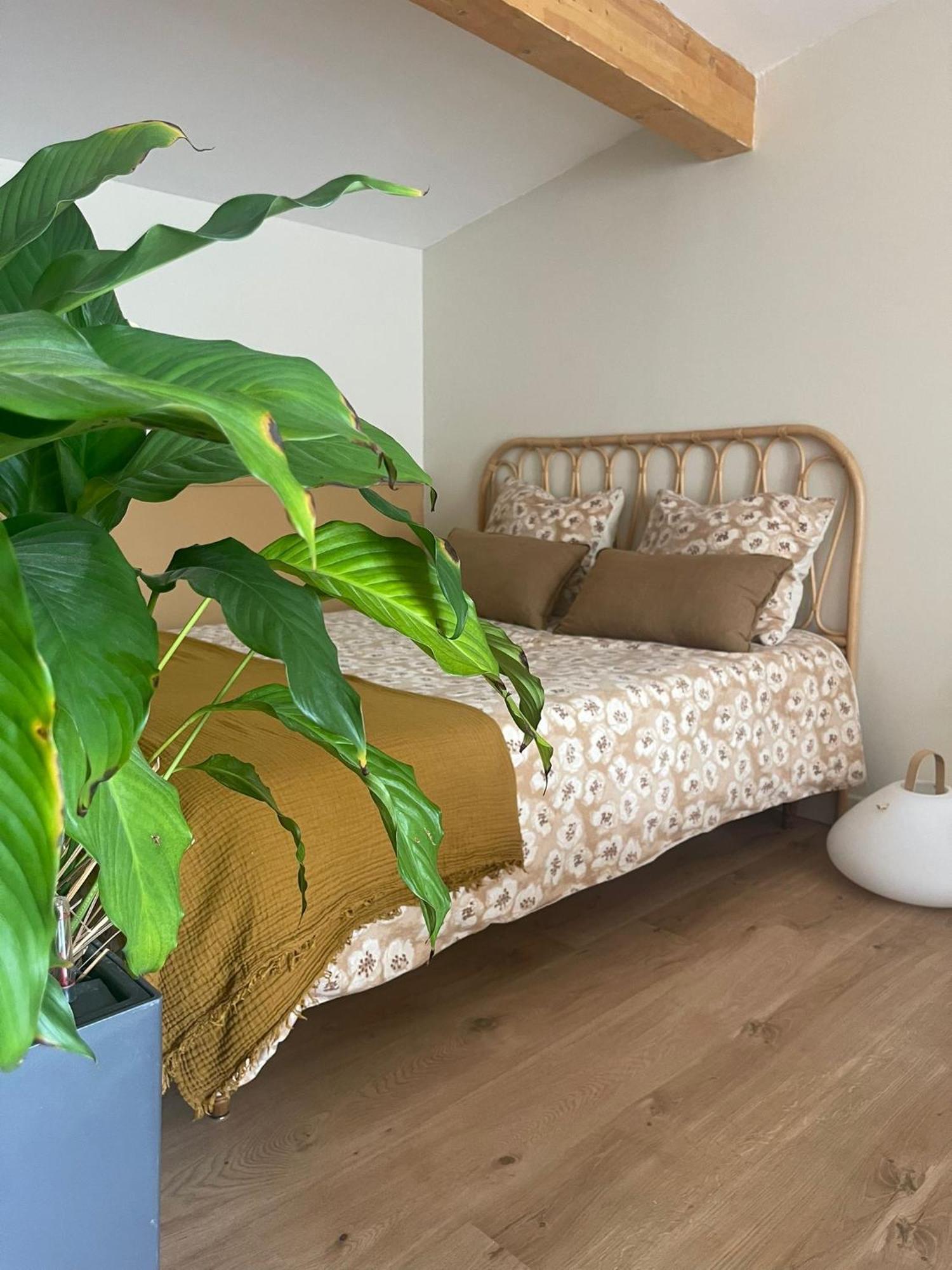 Studio Cosy Castanet-Tolosan Екстериор снимка